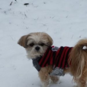 Meet your Posher, Sonja